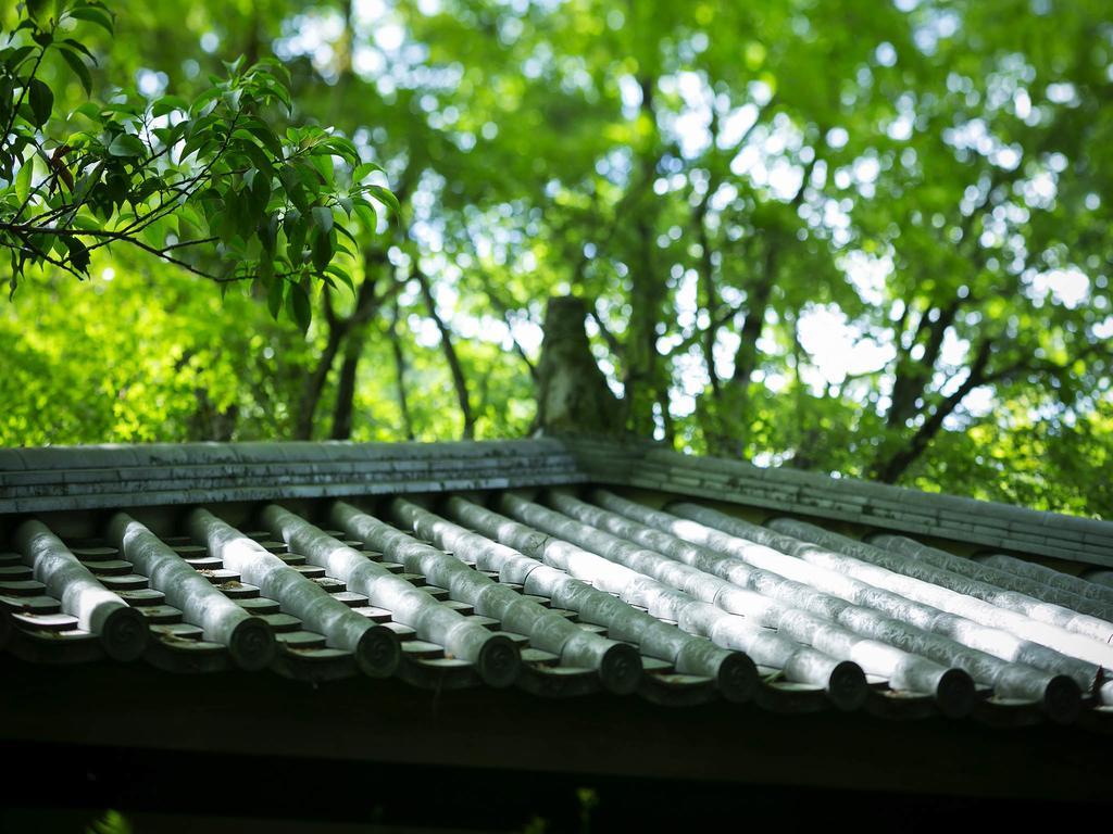 Kurokawa-So Hotel Minamioguni Luaran gambar